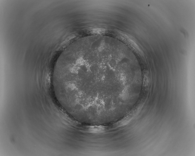 X0000113140363200909041213