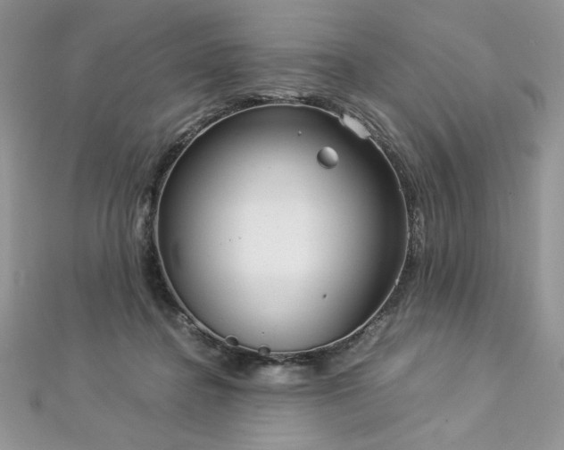 X0000113140364200909041213