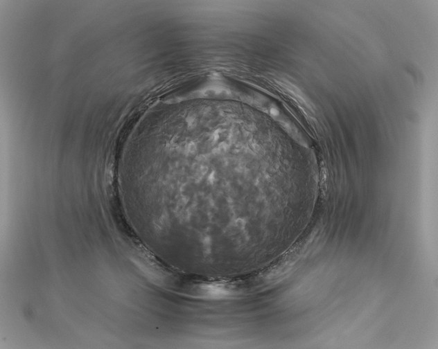 X0000113140365200909041213