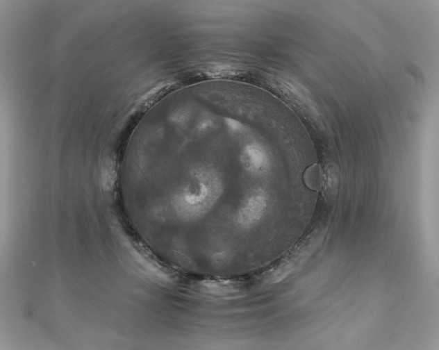 X0000113140367200909041213