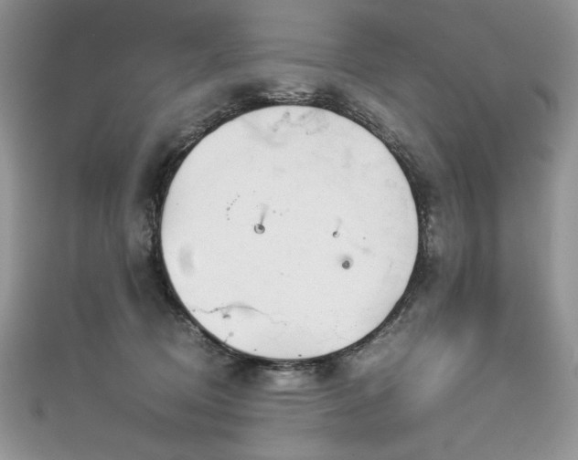 X0000113140370200909041213