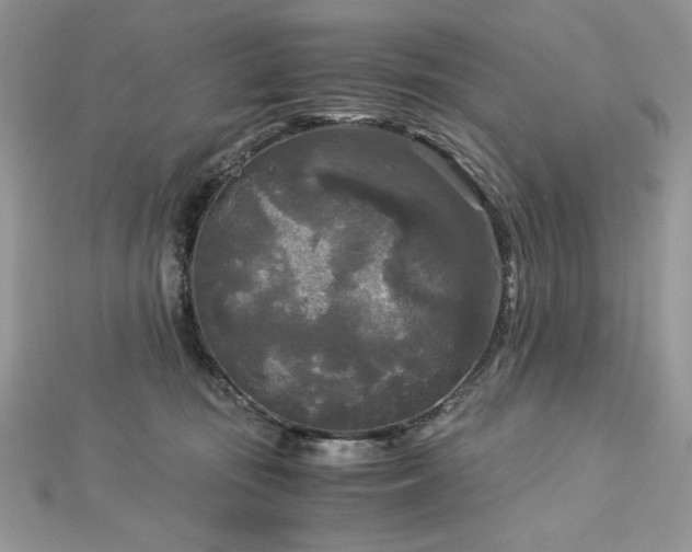 X0000113140371200909041213