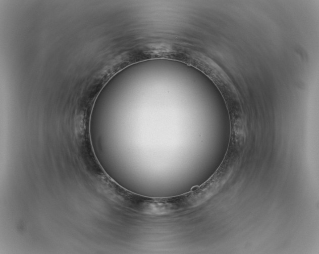 X0000113140372200909041213