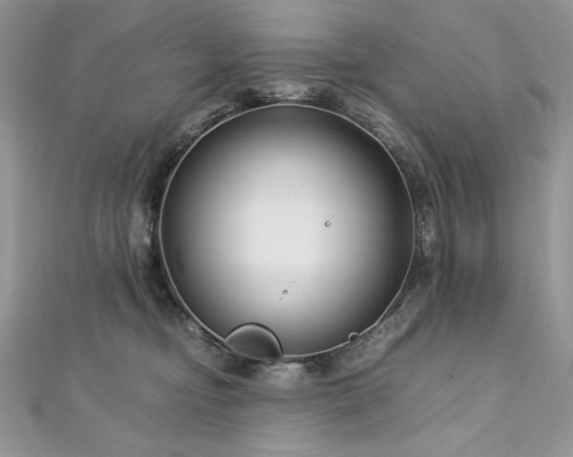 X0000113140374200909041213