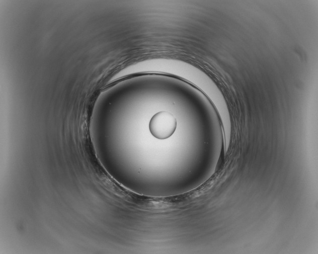 X0000113140376200909041213