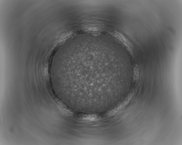 X0000113140377200909041213