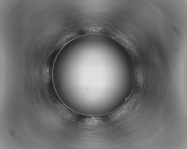 X0000113140378200909041213