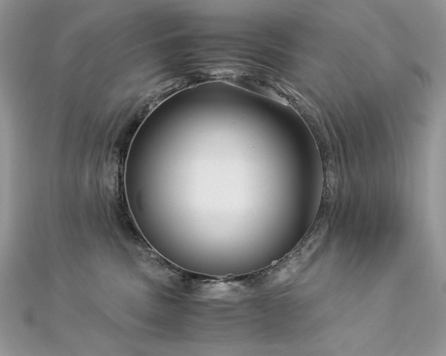 X0000113140379200909041213