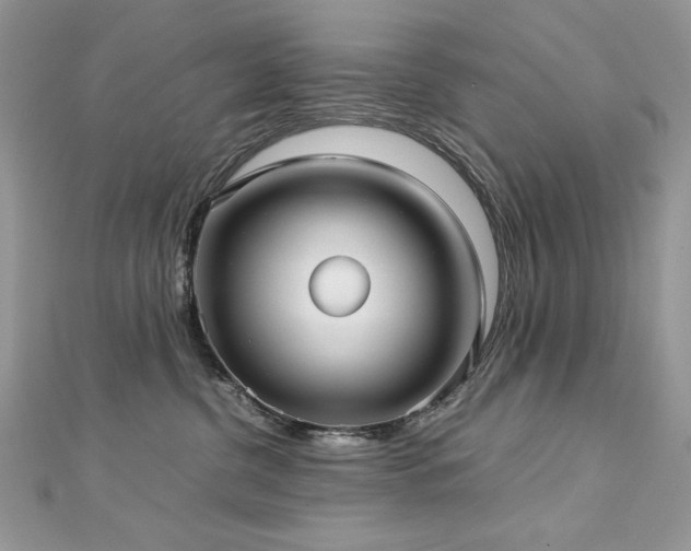 X0000113140380200909041213