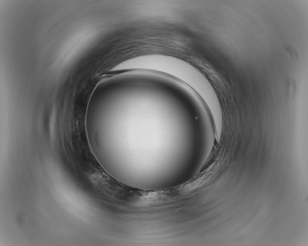 X0000113140382200909041213