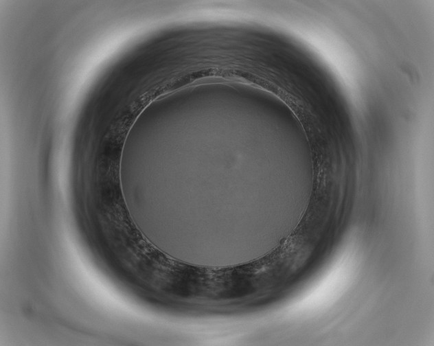 X0000113140383200909041213