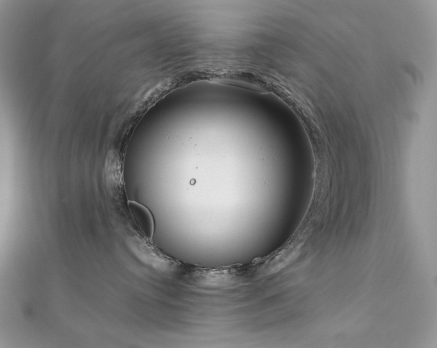 X0000113140384200909041213