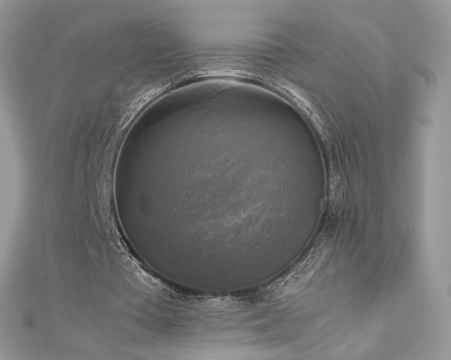 X0000113140385200909041213