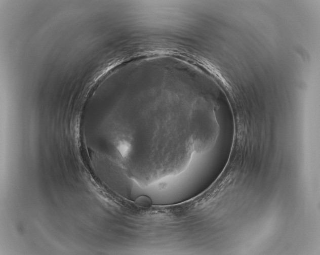 X0000113140386200909041213