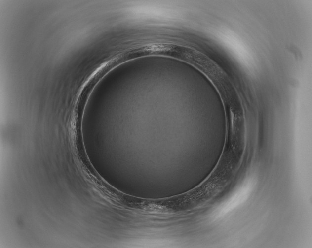 X0000113140387200909041213