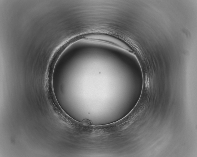 X0000113140388200909041213