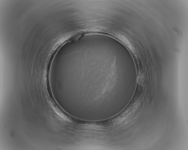 X0000113140389200909041213