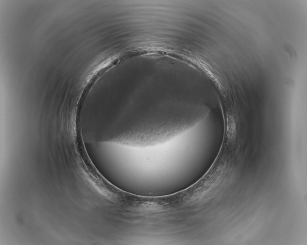 X0000113140390200909041213