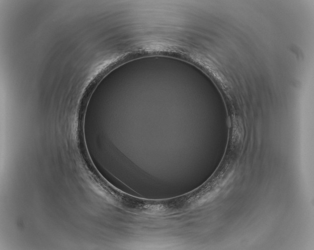 X0000113140391200909041213