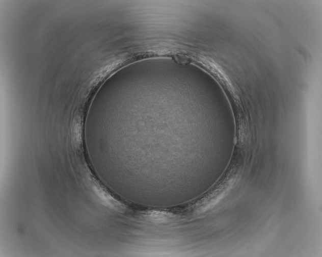 X0000113140393200909041213