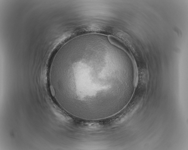 X0000113140395200909041213