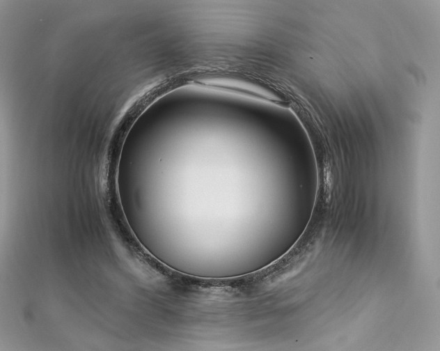 X0000113140396200909041213