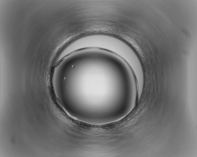 X0000113140399200909041213