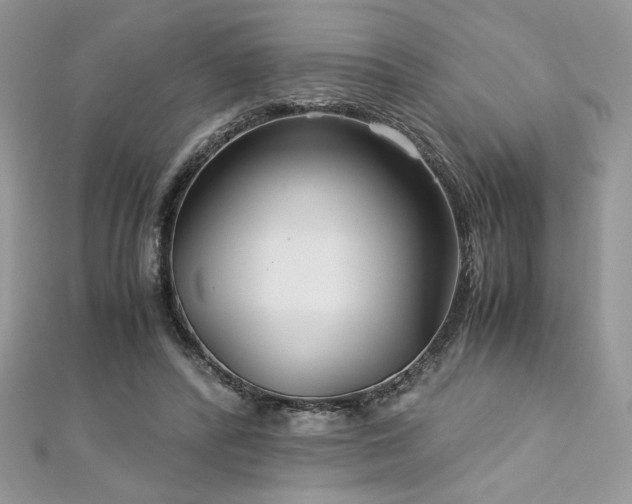 X0000113140400200909041213