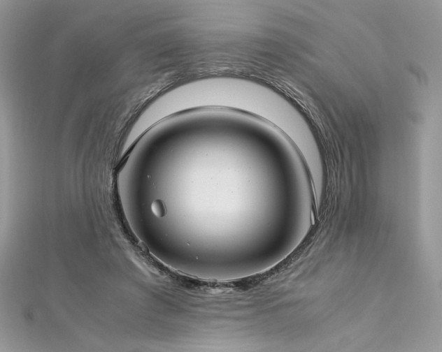 X0000113140401200909041213