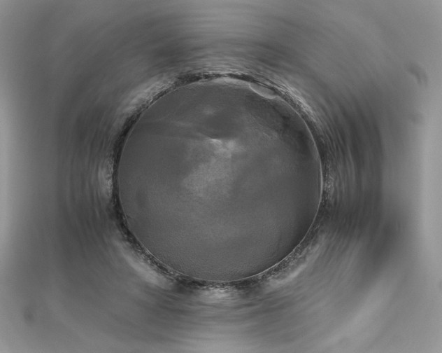 X0000113140402200909041213