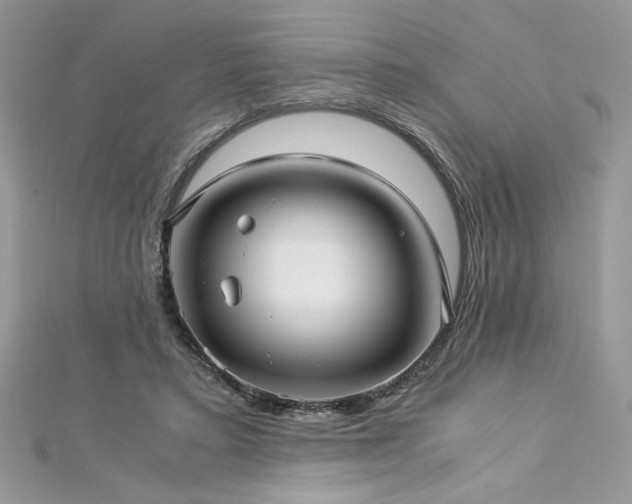 X0000113140403200909041213