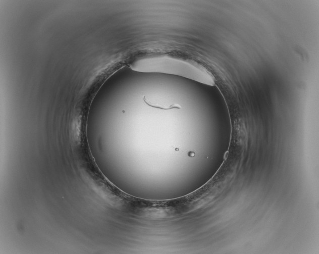 X0000113140404200909041213