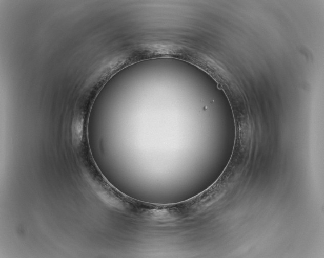 X0000113140406200909041213