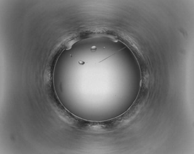 X0000113140407200909041213