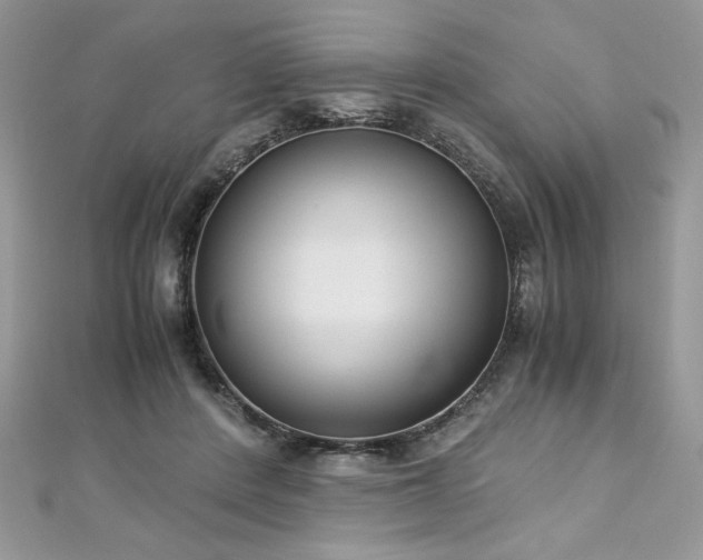 X0000113140408200909041213