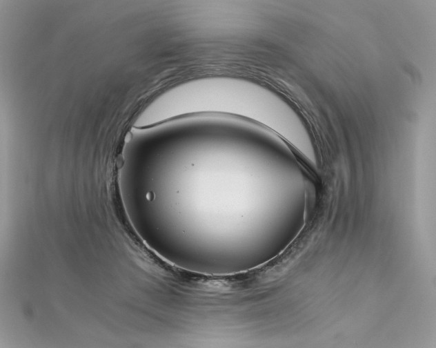 X0000113140409200909041213