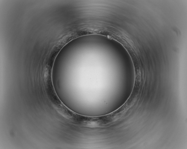 X0000113140412200909041213