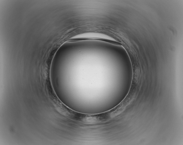 X0000113140413200909041212