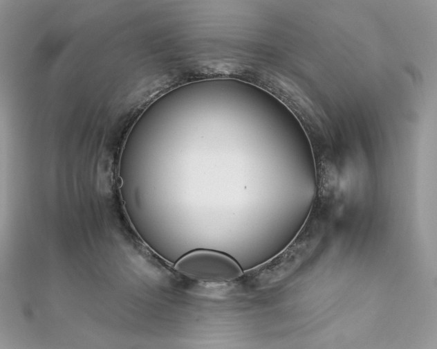 X0000113140414200909041212