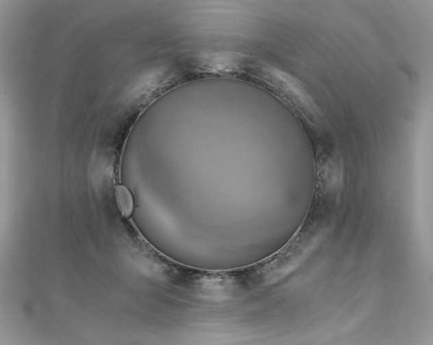 X0000113140415200909041212