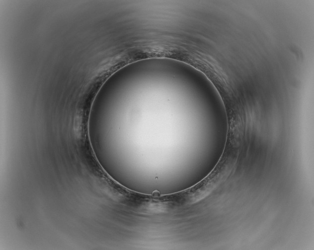 X0000113140416200909041212