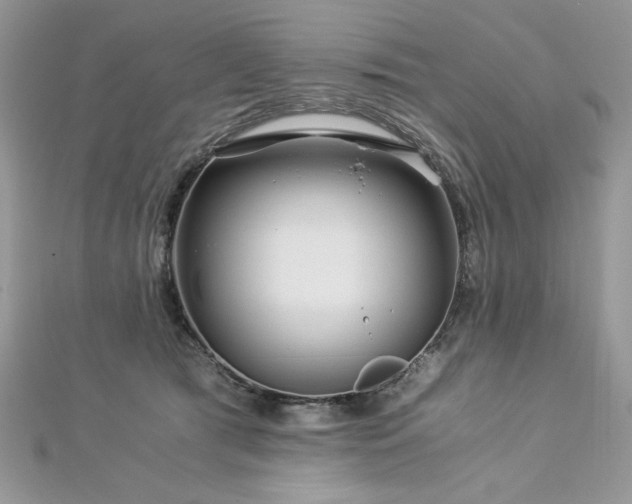 X0000113140417200909041212