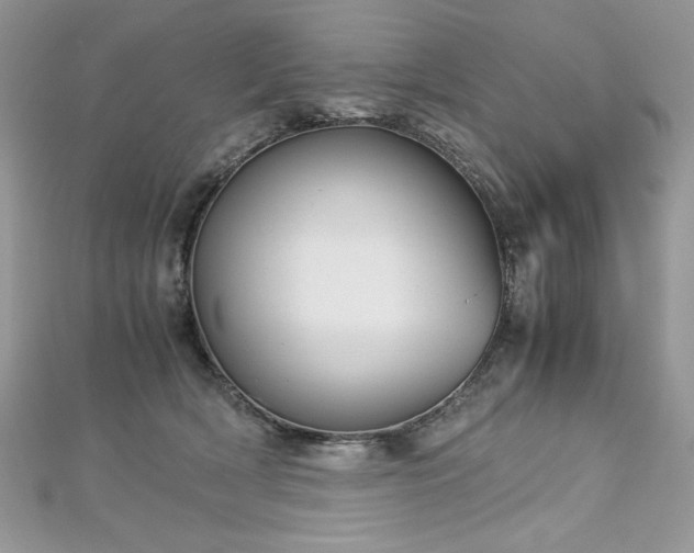 X0000113140418200909041212