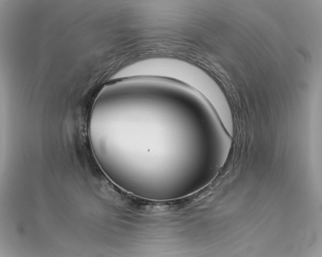 X0000113140419200909041212