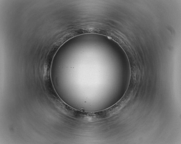 X0000113140420200909041212