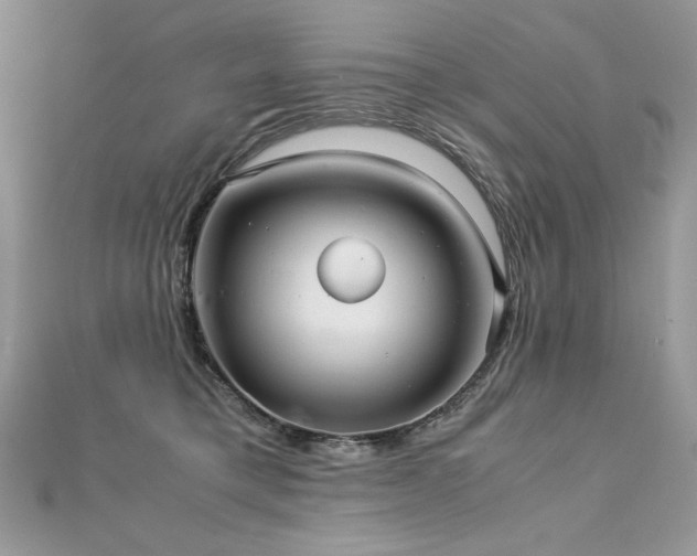 X0000113140421200909041212