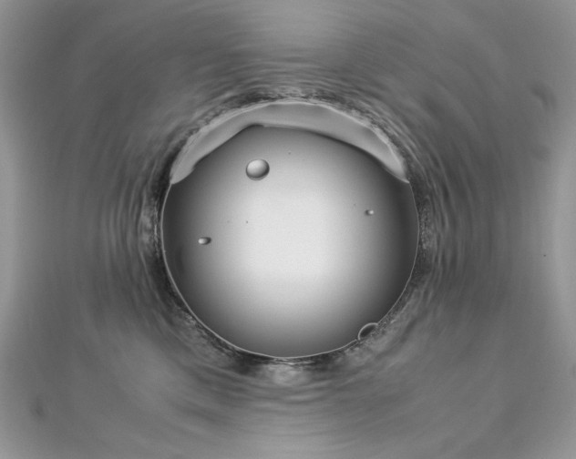 X0000113140425200909041212