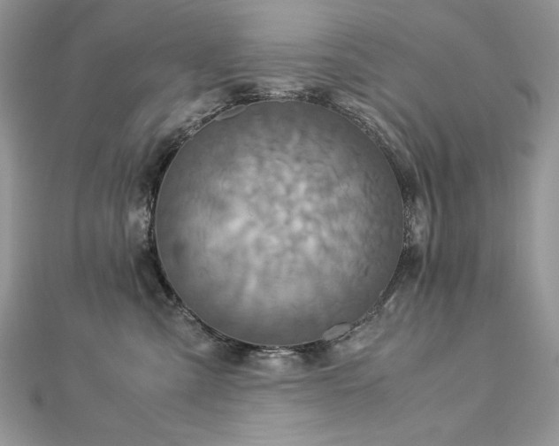 X0000113140427200909041212