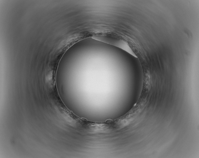 X0000113140428200909041212