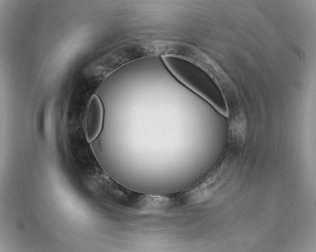 X0000113140429200909041212